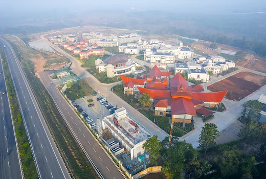 23 Acres of Healing Forest